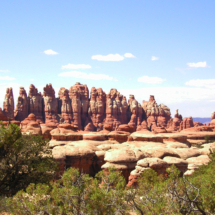 Needles near Chesler Park, Needles Unit, Canyonlands National Park, UT, 2007 Needles near Chesler Park, Needles Unit, Canyonlands National Park, UT, Vince Pitelka, 2007