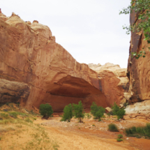 Natural amphitheater, Horseshoe Canyon Unit, Canyonlands National Park, Ut, 2015 Natural amphitheater, Horseshoe Canyon Unit, Canyonlands National Park, Ut, Vince Pitelka, 2015