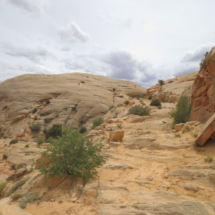 Old Mormon road into the canyon, Horseshoe Canyon Unit, Canyonlands National Park, Ut, 2015 Old Mormon road into the canyon, Horseshoe Canyon Unit, Canyonlands National Park, Ut, Vince Pitelka, 2015