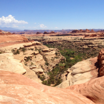 Squaw Canyon, Needles Unit, Canyonlands National Park, UT, 2003 Squaw Canyon, Needles Unit, Canyonlands National Park, UT, Vince Pitelka, 2003