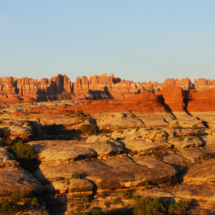 Needles at Dawn, Needles Unit, Canyon National Park, UT, 2012 Needles at Dawn, Needles Unit, Canyon National Park, UT, Vince Pitelka, 2012