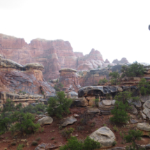 Rain along the trail to Chesler Park, Needles Unit, Canyonlands National Park, UT, 2013 Rain along the trail to Chesler Park, Needles Unit, Canyonlands National Park, UT, Vince Pitelka, 2013