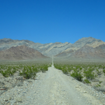 Straight Road into the Bare Mountains, Carrara, Amargosa Valley, NV, 2018, former gravity railway for the American Carrara Marble Company. Former Gravity Railroad to American Carrara Marble Quarry, Carrara, Amargosa, Valley, NV, Vince Pitelka, 2018