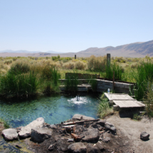 Bonham Ranch Warm Spring, Smoke Creek Desert, NV, 2010 Bonham Ranch Warm Spring, Smoke Creek Desert, NV, Vince Pitelka, 2010