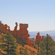 Hoodoos, Fairyland Basin, Bryce Canyon National Park, UT, 2002 Hoodoos, Fairyland Basin, Bryce Canyon National Park, UT, Vince Pitelka, 2002