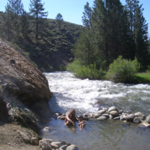 Buckeye Hot Spring, along Buckeye Creek, near Bridgeport, CA, 2008 Buckeye Hot Spring, along Buckeye Creek, near Bridgeport, CA, Vince Pitelka, 2008