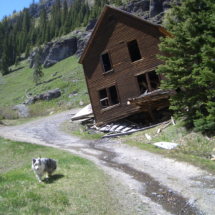 Avalanch-shifted cabin, Camp Bird Mine, Canyon Creek, Ouray, CO, 2007 Avalanch-shifted cabin, Camp Bird Mine, Canyon Creek, Ouray, CO, Vince Pitelka, 2007