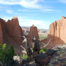 Cathedral Mountain, Cathedral Valley, Capitol Reef National Park, UT, 2013 Cathedral Mountain, Cathedral Valley, Capitol Reef National Park, UT, Vince Pitelka, 2013