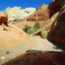 Upper Muley Twist Canyon, accessed from the Burr Trail, Capitol Reef National Park, UT, 2018 Upper Muley Twist Canyon, Capitol Reef National Park, UT, Vince Pitelka, 2018