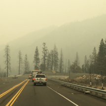 Following a Pilot Car Through the Aftermath of the Carr Fire, West of Redding, CA, August, 2018. Fire crews were still on the scene. Following Pilot Car Through Aftermath of Carr Fire, West of Redding, CA, Vince Pitelka, August, 2018