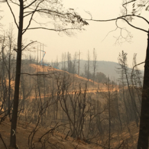 Aftermath of the Carr Fire, west of Redding, CA, August, 2018, Utility crews already rebuilding the electric grid. Aftermath of Carr Fire, West of Redding, CA, Vince Pitelka, August, 2018
