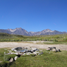 Crab Cooker Hot Spring, Long Valley, CA, 2007, looking northwest towards the Sierras. Crab Cooker Hot Spring, Long Valley, CA, Vince Pitelka, 2007, looking northwest towards the Sierras