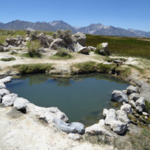 Crowley's (Wild Willy's) Hot Spring, Long Valley, CA, 2010 Crowley's (Wild Willy's) Hot Spring, Long Valley, CA, Vince Pitelka, 2010
