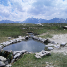 Crowley's (Wild Willy's) Hot Spring, Long Valley, CA, 2010 Crowley's (Wild Willy's) Hot Spring, Long Valley, CA, Vince Pitelka, 2010