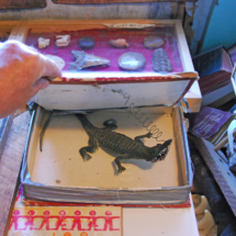 Jerry pointed to a well-worn and often repaired cigar box that said, "Open Me" on the top. I opened the lid and a rubber lizard with bared teeth reared up at me. World's Wonder View Tower, Genoa, CO. Trick Cigar Box, Worlds Wonderview Tower, Genoa, CO, Vince Pitelka