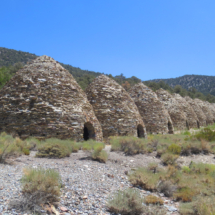 Charcoal Kilns, Wildrose Canyon, Death Valley National Park, 2007 Charcoal Kilns, Wildrose Canyon, Death Valley National Park, Vince Pitelka, 2007