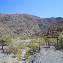 Darwin Wash, one mile below Darwin Falls, just off Highway 190, Death Valley National Park, CA, 2004. The change as you hike one mile up Darwin Wash is spectacular. Darwin Falls, just off Highway 190, Death Valley National Park, CA, Vince Pitelka, 2004