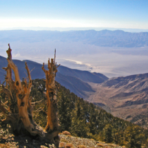 View of Death Valley from Telescope Peak, Panamint Mountains, Death Valley National Park, 2002 View of Death Valley from Telescope Peak, Panamint Mountains, Death Valley National Park, Vince Pitelka, 2002