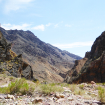 Titus Canyon, Death Valley National Park, 2016. The canyon is accessed via a tortuous one-way backcountry road starting in the Amargosa Valley on the east side of the Grapevine Mountains. Titus Canyon, Death Valley National Park, Vince Pitelka, 2016