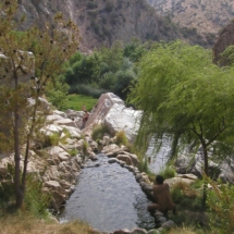 Deep Creek Hot Springs, along the Pacific Crest Trail in the San Bernardino Mountains, CA, 2003 Deep Creek Hot Springs, along the Pacific Crest Trail in the San Bernardino Mountains, CA, Vince Pitelka, 2003