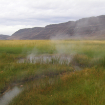 Denio Hot Spring, west of Denio Junction, NV, 2012. No soaking opportunities. Denio Hot Spring, west of Denio Junction, NV, Vince Pitelka, 2012