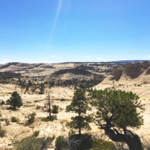 Slickrock Along the Boulder Mail Trail, Grand Staircase-Escalante National Monument, UT, 2016 Slickrock Along the Boulder Mail Trail, Grand Staircase-Escalante National Monument, UT, Vince Pitelka, 2016