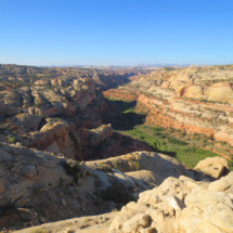Calf Creek Canyon, view from the Hogback, Grand Staircase-Escalante National Monument, UT, 2014 Calf Creek Canyon, view from the Hogback, Grand Staircase-Escalante National Monument, UT, Vince Pitelka, 2014