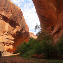 Golden Cathedral, Neon Canyon, Grand Staircase-Escalante National Monument, UT, 2015 Golden Cathedral, Neon Canyon, Grand Staircase-Escalante National Monument, UT, Vince Pitelka, 2015