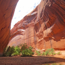 Golden Cathedral, Neon Canyon, Grand Staircase-Escalante National Monument, UT, 2015 Golden Cathedral, Neon Canyon, Grand Staircase-Escalante National Monument, UT, Vince Pitelka, 2015