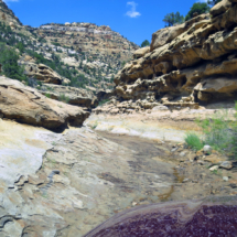 Left Hand Collet Road up Fifty Mile Mountain, Grand Staircase-Escalante National Monument, UT, 2014 Left Hand Collet Road up Fifty Mile Mountain, Grand Staircase-Escalante National Monument, UT, Vince Pitelka, 2014