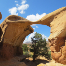 Devil's Garden, Grand Staircase-Escalante National Monument, UT, 2014 Devil's Garden, Grand Staircase-Escalante National Monument, UT, Vince Pitelka, 2014