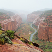 Long Canyon in the Rain, Grand Staircase-Escalante National Monument, UT, 2014 Long Canyon in the Rain, Grand Staircase-Escalante National Monument, UT, Vince Pitelka, 2014