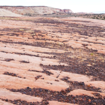 Moqui Marbles on Navajo Sandstone, Grand Staircase-Escalante National Monument, UT, 2014 Moqui Marbles on Navajo Sandstone, Grand Staircase-Escalante National Monument, UT, Vince Pitelka, 2014