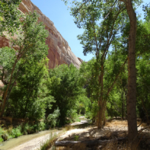 Escalante River Trail, Grand Staircase-Escalante National Monument, UT, 2018 Escalante River Trail, Grand Staircase-Escalante National Monument, UT, Vince Pitelka, 2018