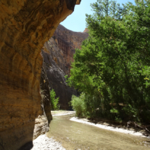Escalante River Trail, Grand Staircase-Escalante National Monument, UT, 2018 Escalante River Trail, Grand Staircase-Escalante National Monument, UT, Vince Pitelka, 2018