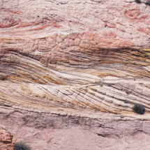 Patterns on Navajo Sandstone, Big Spencer Flat, Grand Staircase-Escalante National Monument, UT, 2014 Patterns in the Rock, Big Spencer Flat, Grand Staircase-Escalante National Monument, UT, Vince Pitelka, 2014