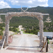Collection of Antlers, Ranch Gate west of Great Basin National Park, NV, 2018 Collection of Antlers, Ranch Gate west of Great Basin National Park, NV, Vince Pitelka, 2018