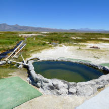 Hilltop Hot Spring, Long Valley, CA, 2013, White Mountains in the far distance. Hilltop Hot Spring, Long Valley, CA, Vince Pitelka, 2013, White Mountains in the far distance