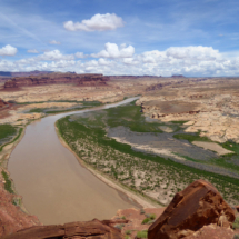 Colorado River, looking upstream from Hite Overlook, Glen Canon Recreation Area, UT, 2016, green indicates area covered by Lake Powell just a few years ago. Colorado River, looking upstream from Hite Overlook, Glen Canon Recreation Area, UT, Vince Pitelka, 2016, green area was once covered by Lake Powell