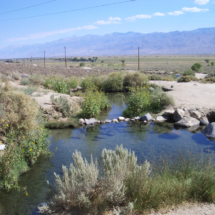 Keough Hot Creek, just downstream from private Keough Hot Spring Resort, just off US-395 south of Bishop, CA, 2010 Keough Hot Creek, just off US-395 south of Bishop, CA, Vince Pitelka, 2010