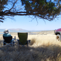 Picnic with My Brother Louie, Clear Lake National Wildlife Refuge, Modoc County, CA, 2017 Picnic with My Brother Louie, Clear Lake National Wildlife Refuge, Modoc County, CA, Vince Pitelka, 2017