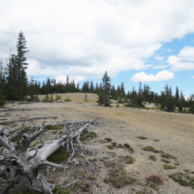 The Hot Spot, Medicine Lake Volcano, Modoc County, CA, 2015 The Hot Spot, Medicine Lake Volcano, Modoc County, CA, Vince Pitelka, 2015