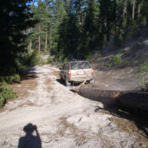 Sophie the Isuzu Rodeo Playing Log-Skidder, Medicine Lake Volcano, Modoc National Forest, CA, 2006 Sophie the Isuzu Rodeo Playing Log-Skidder, Medicine Lake Volcano, CA, Vince Pitelka, 2006