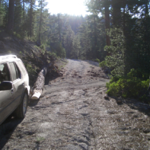 Sophie the Isuzu Rodeo Playing Log-Skidder, Medicine Lake Volcano, Modoc National Forest, CA, 2006 Sophie the Isuzu Rodeo Playing Log-Skidder, Medicine Lake Volcano, CA, Vince Pitelka, 2006