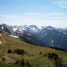 Hurricane Ridge, Olympic National Park, WA, 2006 Hurricane Ridge, Olympic National Park, WA, Vince Pitelka, 2006
