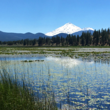 Mount Shasta, from Orr Lake, CA, 2017 Mount Shasta, from Orr Lake, CA, Vince Pitelka, 2017