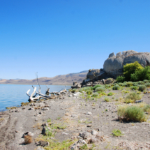 Tufa Dome, Pyramid Lake Indian Reservation, NV, 2012 Tufa Dome, Pyramid Lake Indian Reservation, NV, Vince Pitelka, 2012