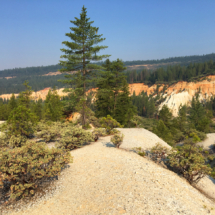 Malakoff Basin, Malakoff Hydraulic Diggings, Malakoff-North Bloomfield State Historic Park, San Juan Ridge, CA, 2018 Malakoff Hydraulic Diggings, Malakoff-North Bloomfield State Historic Park, San Juan Ridge, CA, Vince Pitelka, 2018