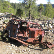 Elegant Decay, Moore's Flat Placer Diggings, San Juan Ridge, CA, 2002 Moore's Flat Placer Diggings, San Juan Ridge, CA, Vince Pitelka, 2004