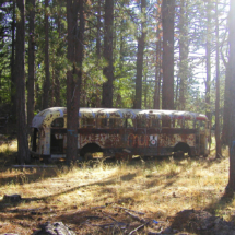 Target Practice, Abandoned Hippie Schoolbus, Moore's Flat, San Juan Ridge, CA, 2002 Target Practice, Abandoned Hippie Schoolbus, Moore's Flat, San Juan Ridge, CA, Vince Pitelka, 2002